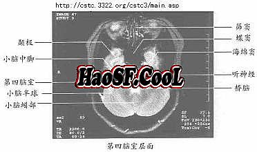 自学开传奇大概多少钱