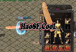 新开单职业传奇网站