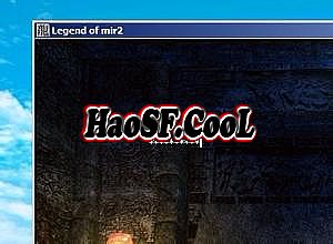 传奇单职业是什么意思