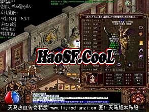 传奇行会战视频